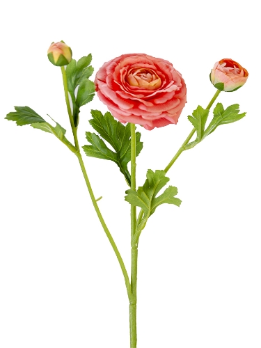 Picture of 19" REAL TOUCH RANUNCULUS SPRAY
