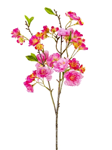 Picture of 24" CHERRY BLOSSOM SPRAY