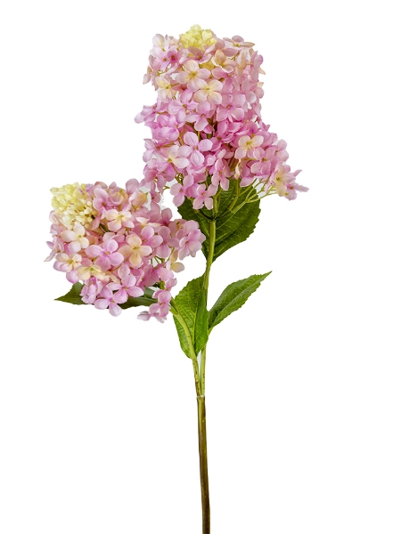 Picture of 38" HYDRANGEA SPRAY