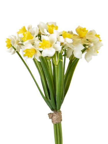 Picture of 14" DAFFODIL BUNDLE