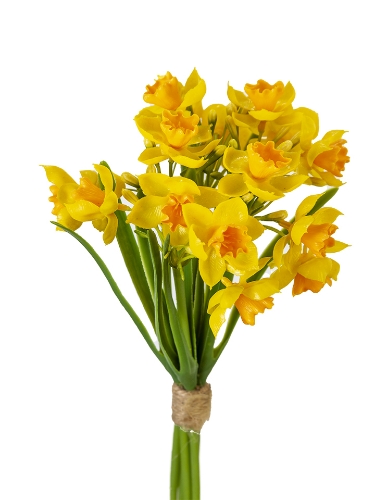 Picture of 14" DAFFODIL BUNDLE