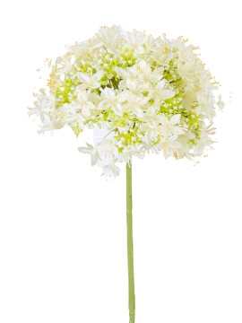 Picture of 27" ONION FLOWERS SPRAY