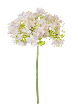 Picture of 27" ONION FLOWERS SPRAY