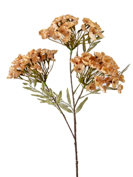 Picture of 28" WAXFLOWER CLUSTER SPRAY