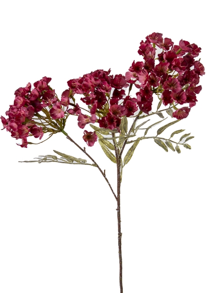 Picture of 28" WAXFLOWER CLUSTER SPRAY