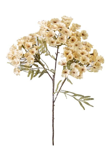 Picture of 28" WAXFLOWER CLUSTER SPRAY