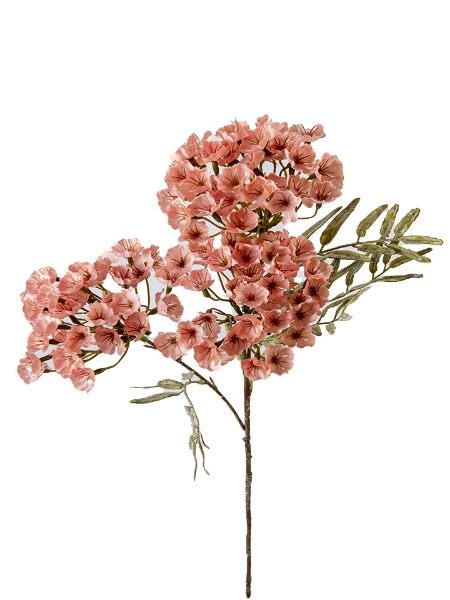 Picture of 28" WAXFLOWER CLUSTER SPRAY