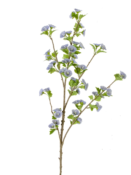 Picture of 43" MOLUCCELLA  SPRAY
