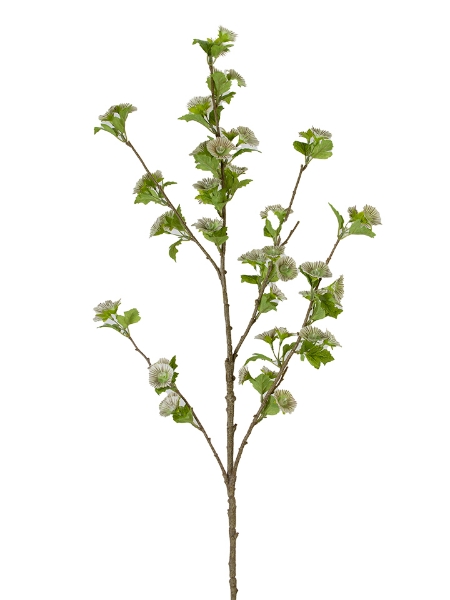 Picture of 43" MOLUCCELLA  SPRAY