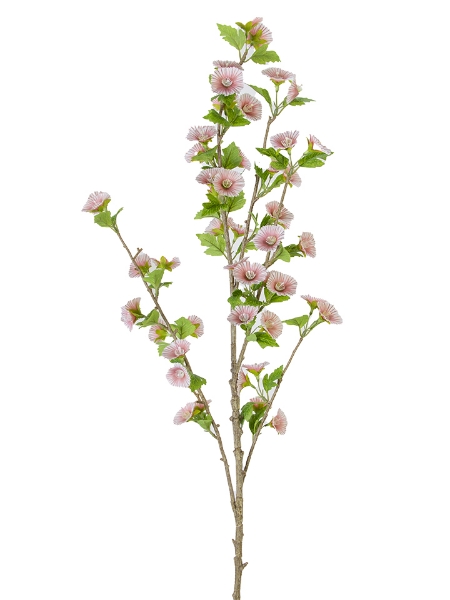 Picture of 43" MOLUCCELLA  SPRAY