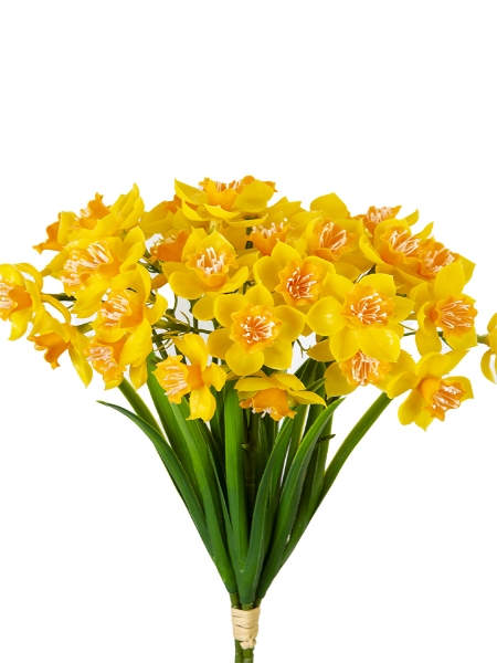 Picture of 13" DAFFODIL BUNDLE