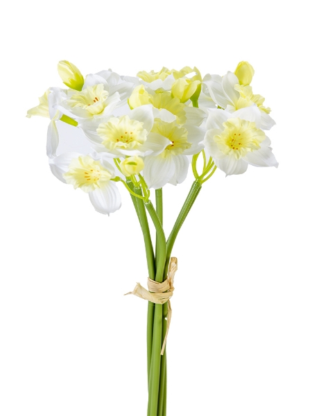 Picture of 15" DAFFODIL BUNDLE