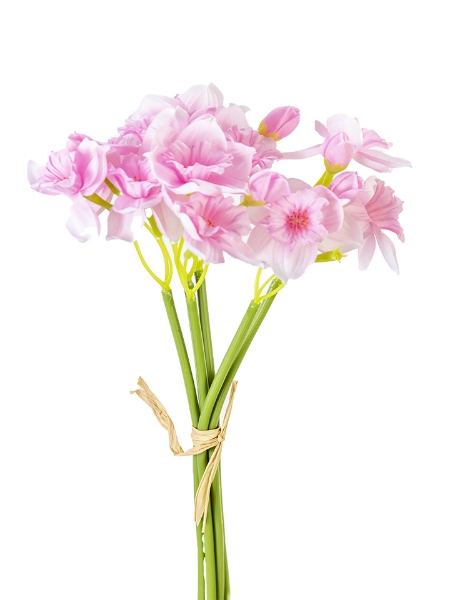 Picture of 15" DAFFODIL BUNDLE