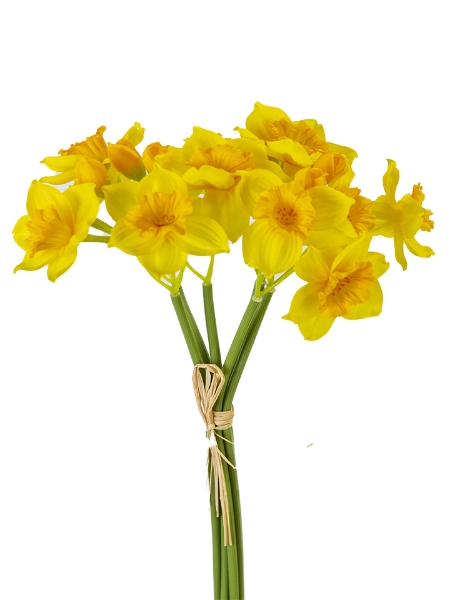 Picture of 15" DAFFODIL BUNDLE