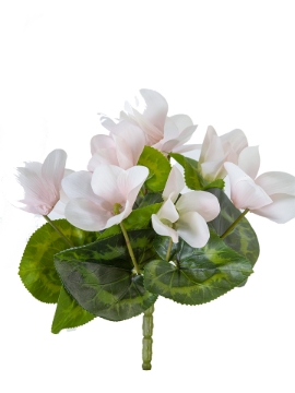 Picture of 9" UV PROTECTED CYCLAMEN BUSH