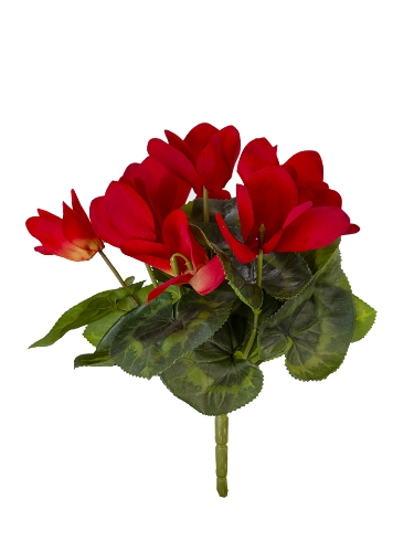 Picture of 9" UV PROTECTED CYCLAMEN BUSH