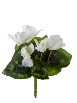 Picture of 9" UV PROTECTED CYCLAMEN BUSH
