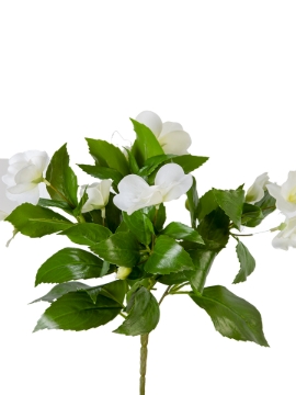 Picture of 10" UV PROTECTED IMPATIENS BUSH