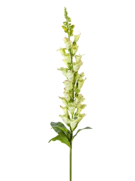 Picture of 42" UV PROTECTED FOXGLOVE SPRAY