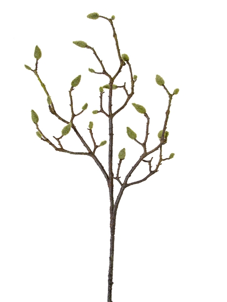 Picture of 38" MAGNOLIA TREE BUDS SPRAY