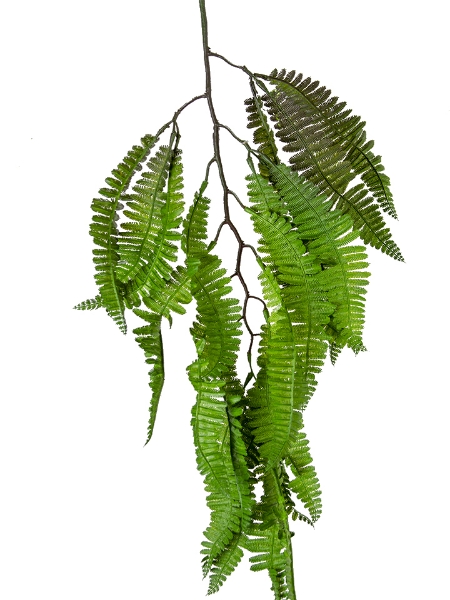 Picture of 42" HANGING FERN SPRAY