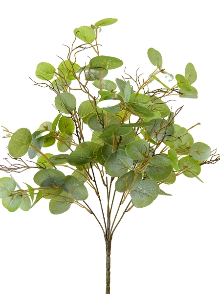 Picture of 23" EUCALYPTUS BUSH