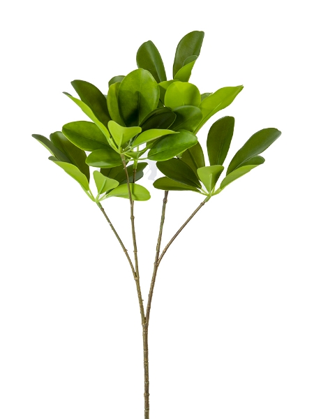 Picture of 23" SCHEFFLERA SPRAY