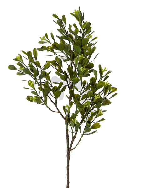 Picture of 27" EUCALYPTUS/BERRY SPRAY