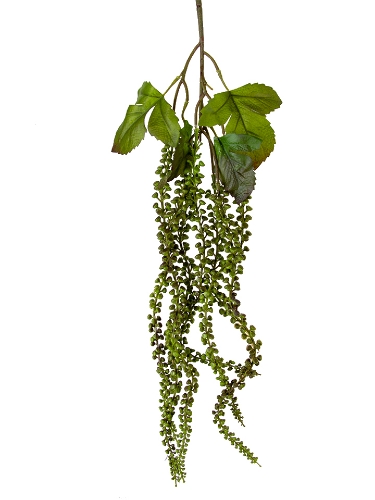 Picture of 33" DRAPING SUCCULENTS SPRAY