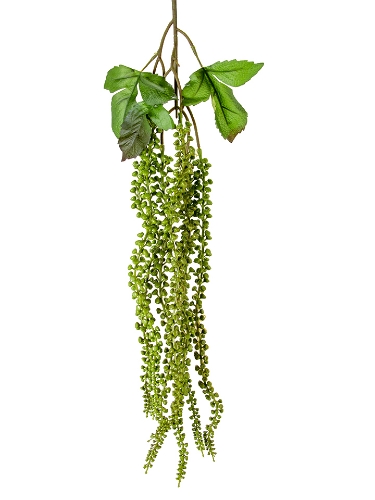 Picture of 33" DRAPING SUCCULENTS SPRAY