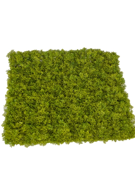 Picture of 20"X20" MOSS SHEET