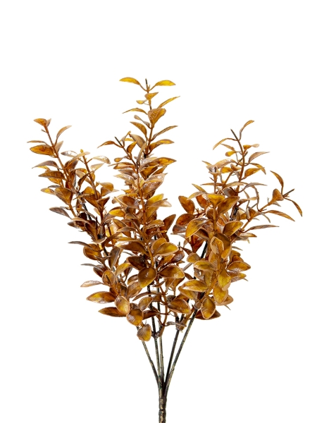 Picture of 13" PRIVET LVS BUSH