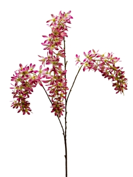 Picture of 46" HANGING ORCHIDS SPRAY