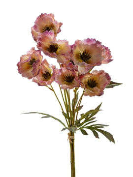 Picture of 28" POPPY BUNDLE