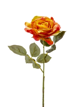 Picture of 26" ROSE STEM