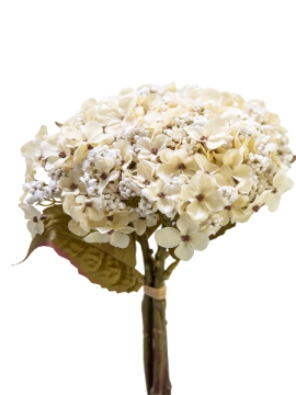 Picture of 12" HYDRANGEA BUNDLE
