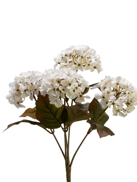 Picture of 17" HYDRANGEA BUSH