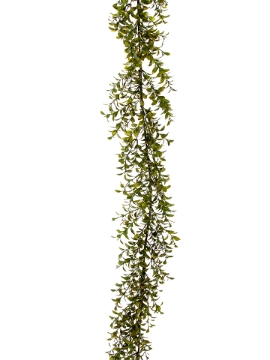 Picture of 6' PRIVET  GARLAND