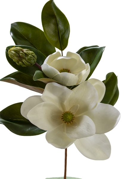 Picture of 20" MAGNOLIA BUDS LEAVES PICK