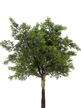 Picture of 18" JUNIPER BERRIES BUNDLE