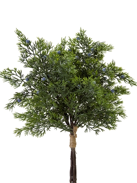 Picture of 18" JUNIPER BERRIES BUNDLE
