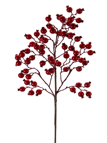 Picture of 24" BERRY  SPRAY