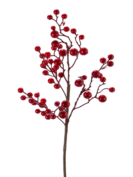 Picture of 22" BERRY  SPRAY