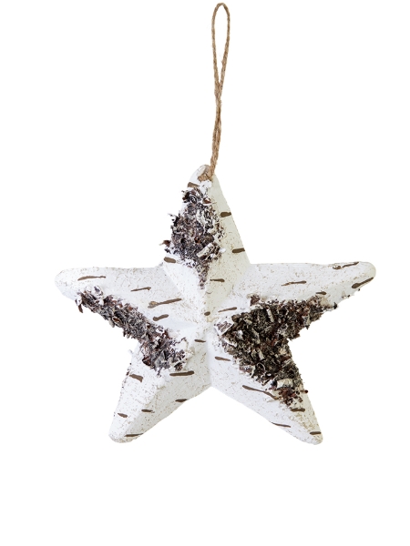 Picture of 7" BIRCH  STAR ORNAMENT