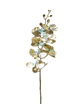 Picture of 39" PHALAENOPSIS SPRAY