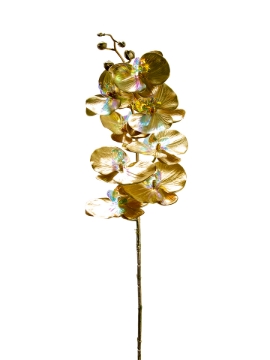 Picture of 39" PHALAENOPSIS SPRAY