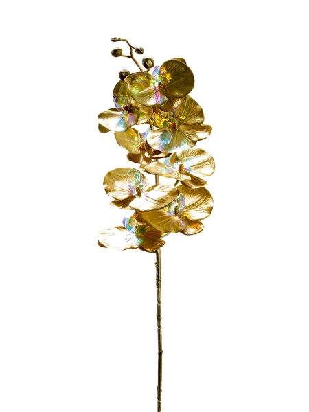 Picture of 39" PHALAENOPSIS SPRAY