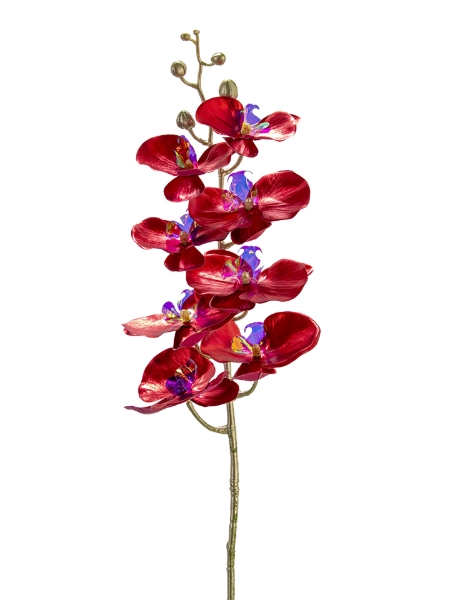 Picture of 39" PHALAENOPSIS SPRAY