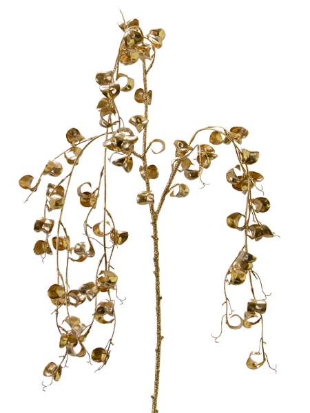 Picture of 45" MINI FICUS BENJAMINA VINE