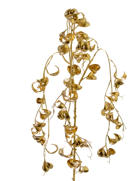 Picture of 46" FICUS BENJAMINA VINE